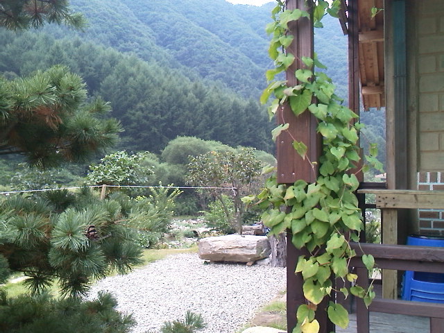 지성조경 이미지