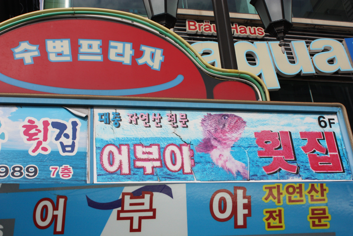 자연산어부집 이미지