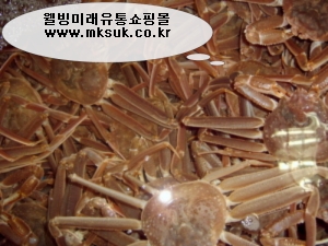 웰빙수산 이미지