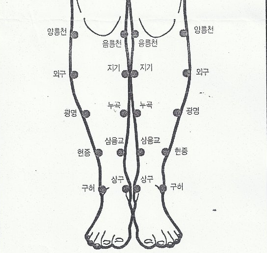 복부, 어깨, 다리, 힙 다이어트 혈자리 그림과 설명 : 네이버 블로그