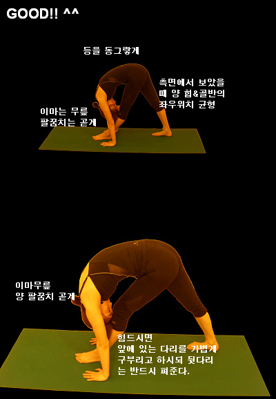 아메리카핫요가 [앞/뒤 다리벌려 상체숙이기 2 ] : 네이버 블로그