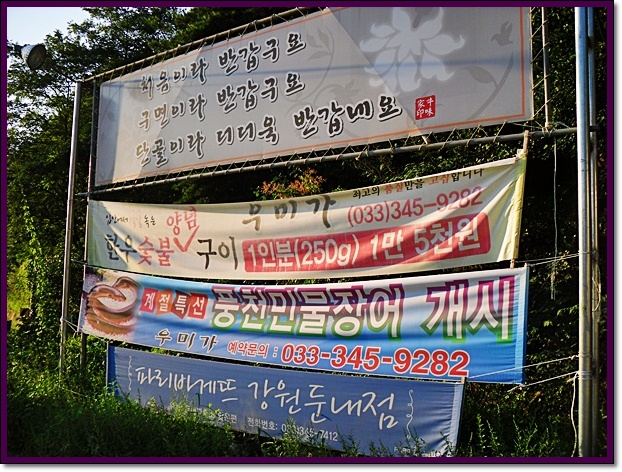 명품한우우미가 이미지
