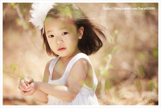 숲속의작은스튜디오 이미지