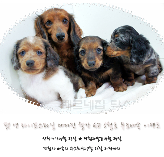 카페베르네 이미지