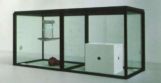 허스트(Hirst) 이미지