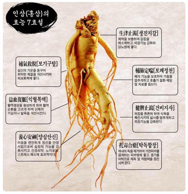 곁두리 이미지