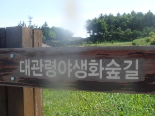 야생화숲 이미지