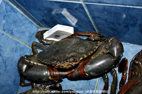 강추맛집 이미지