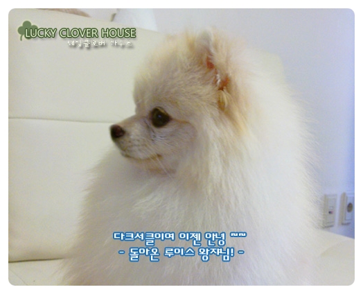 두둥 이미지