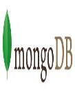 MongoDB 기술 자료집