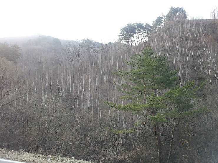 웰빙약초마을 이미지