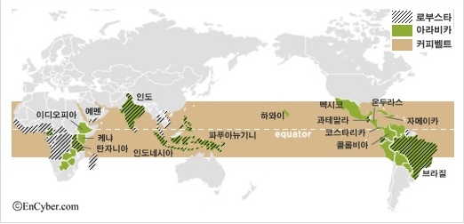 7커피 이미지