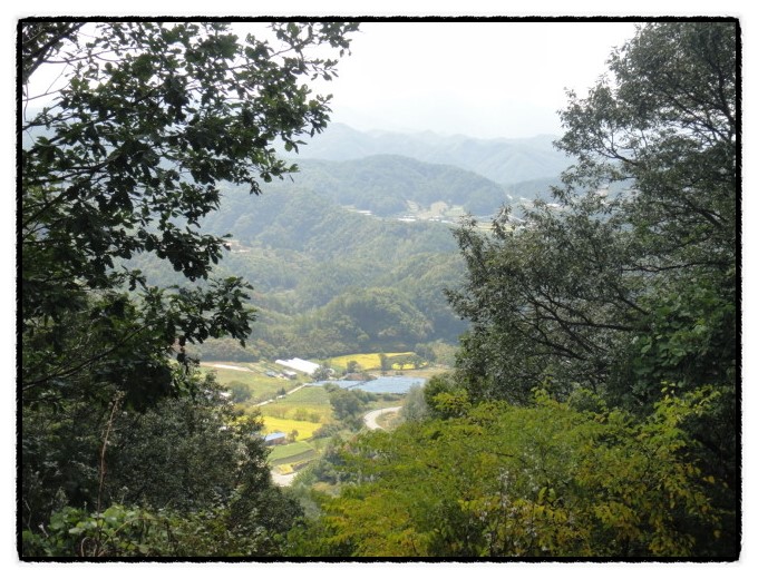 [10월7일] 홍천강,공작산임도,수타사계곡. : 네이버 블로그