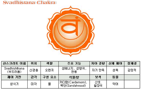 [부천요가]요가이론-차크라의 위치와 차크라설명 : 네이버 블로그