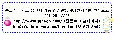 전집보고 이미지