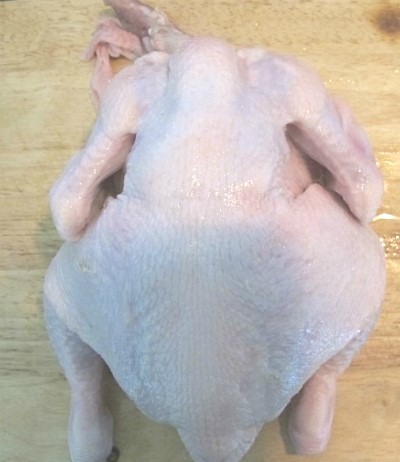 닭터 이미지