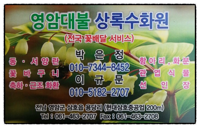 상록수화원 이미지