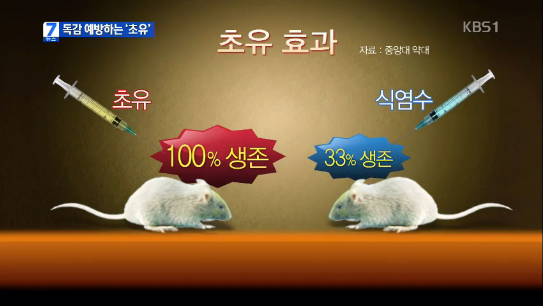 NK두피클리닉 이미지