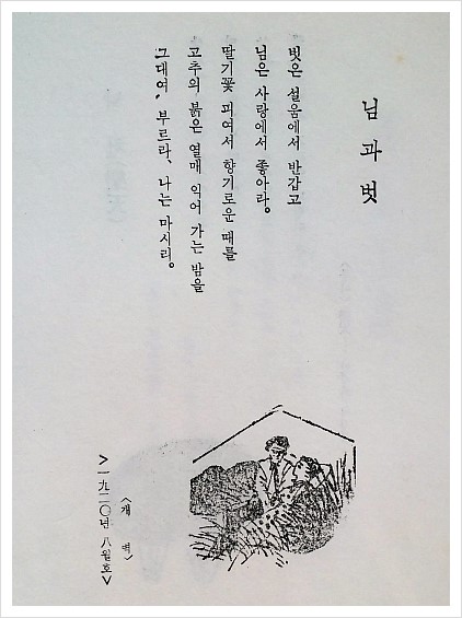 마시리 이미지