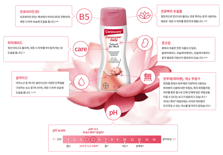 카네스 이미지
