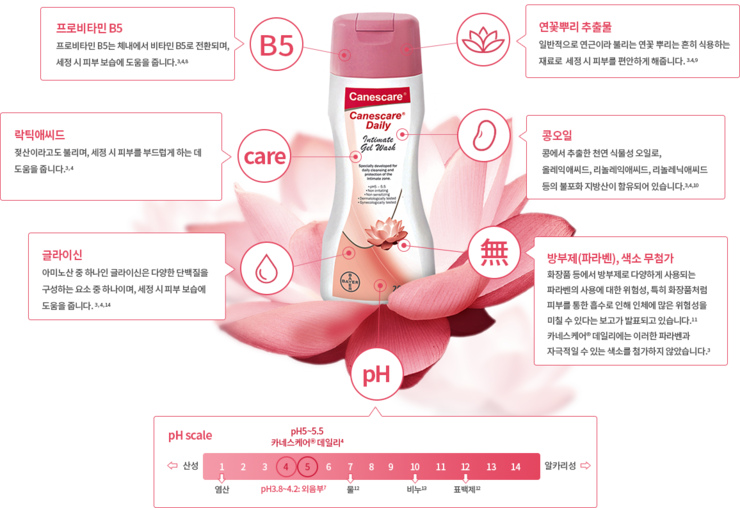 카네스 이미지