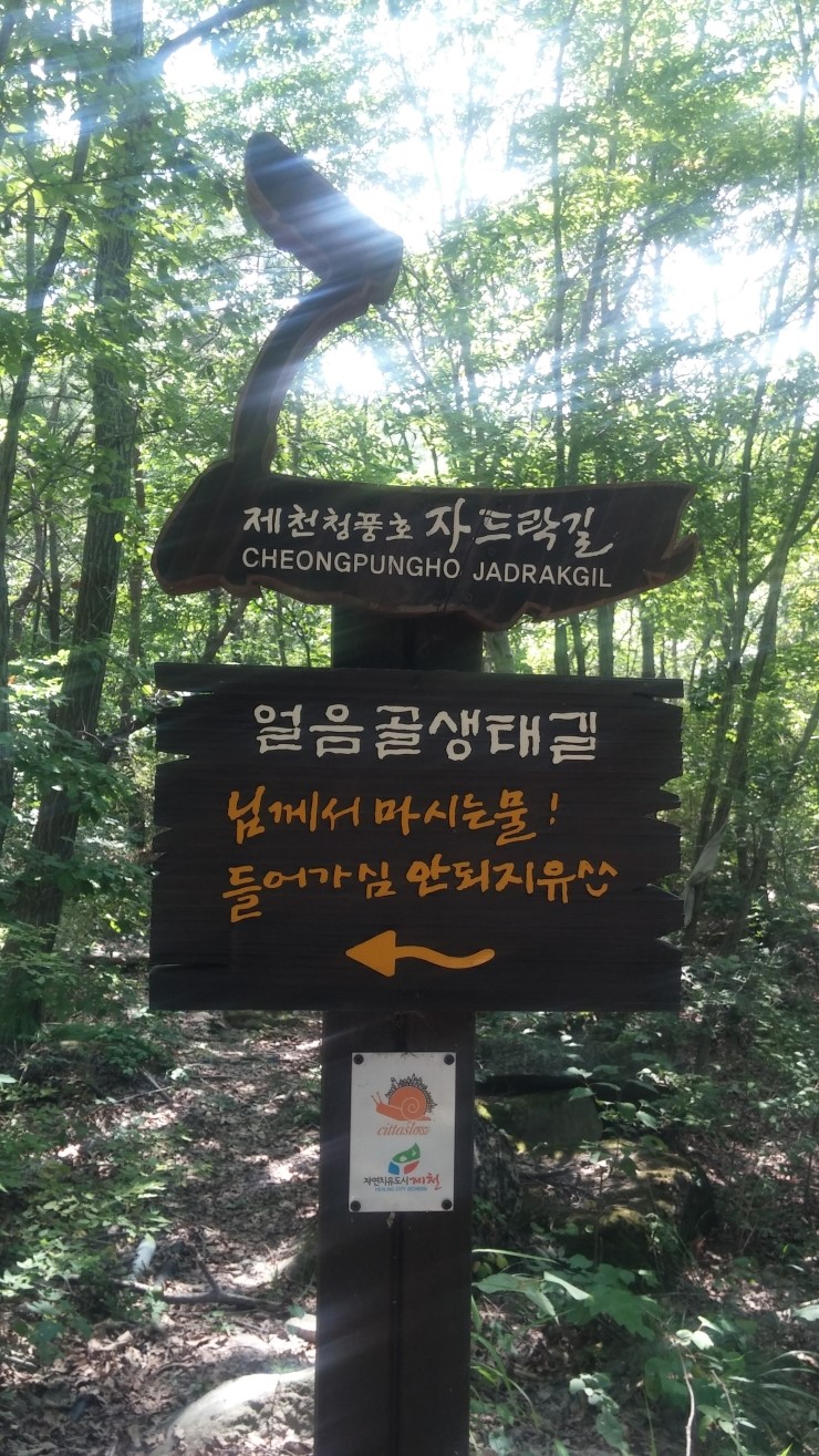 대구전자담배총판 이미지