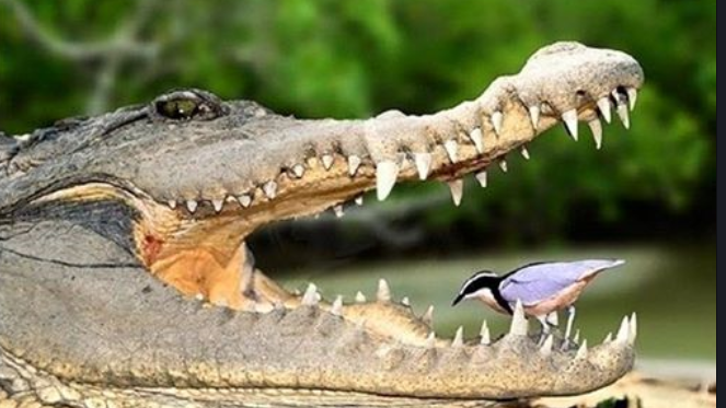 한국그린산업 이미지