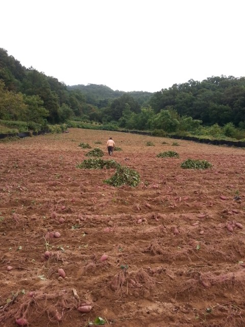 장개울농장 이미지