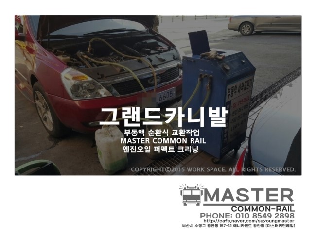 애니카랜드신 이미지