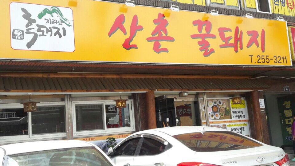 산촌꿀돼지 이미지
