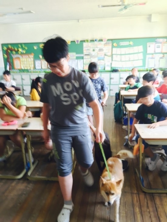 대구현풍초등학교 이미지