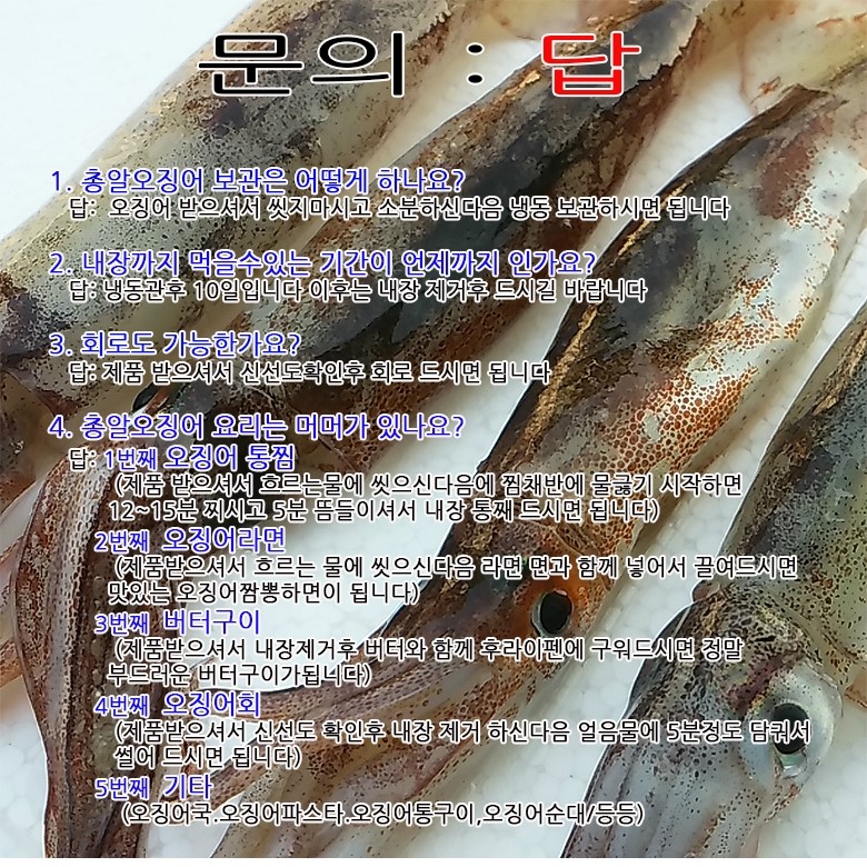 통신본가 이미지
