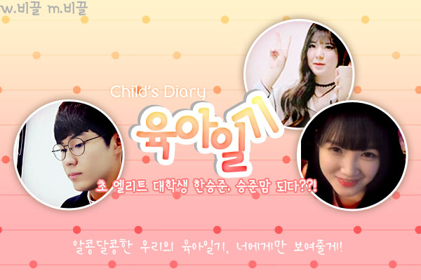 착오비 이미지