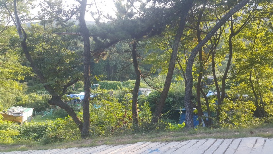 (주)영남통운 이미지