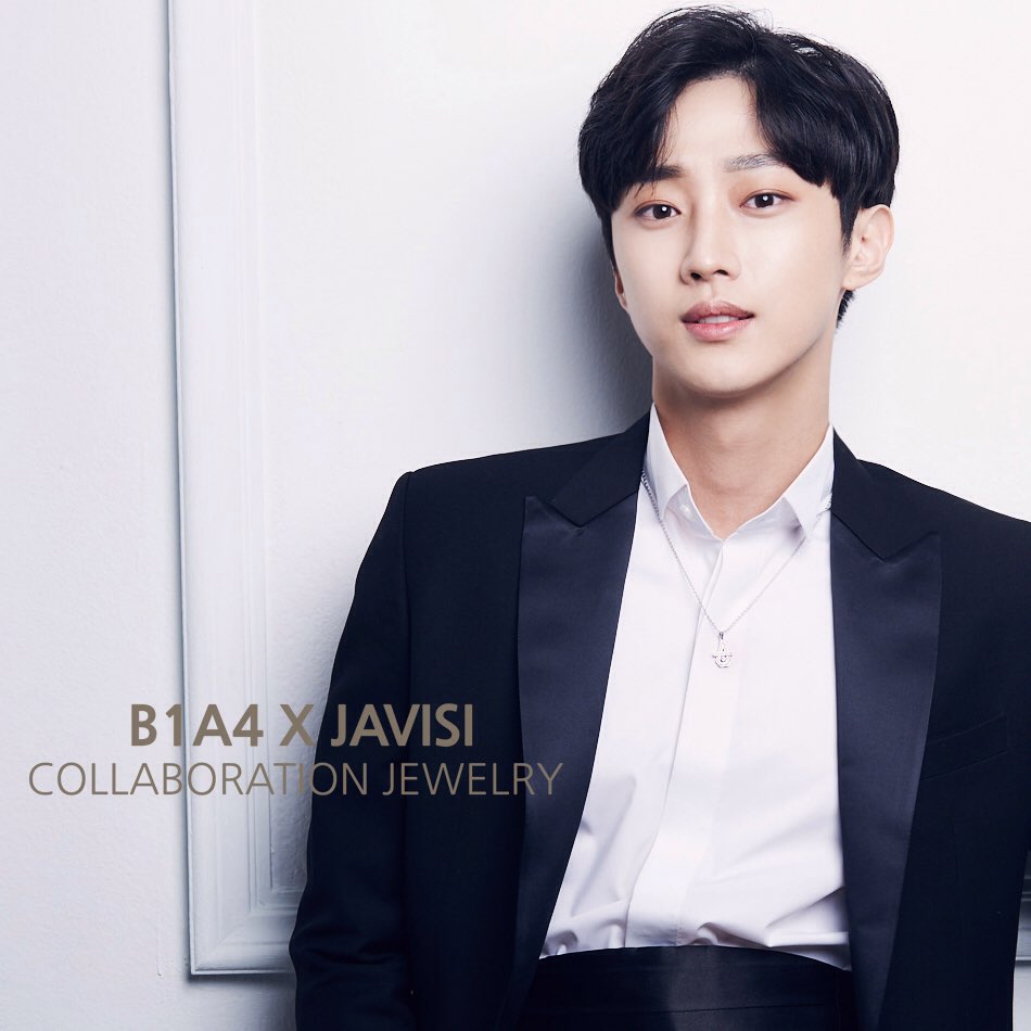 자비시 (JAVISI) 이미지