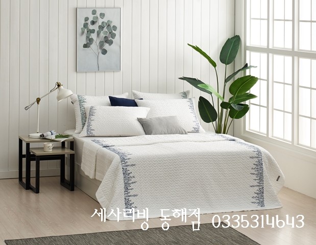 세사리빙 이미지