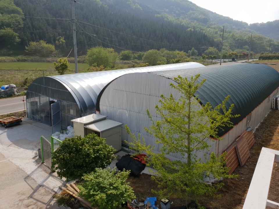 함평 이로운 굼벵이 이미지