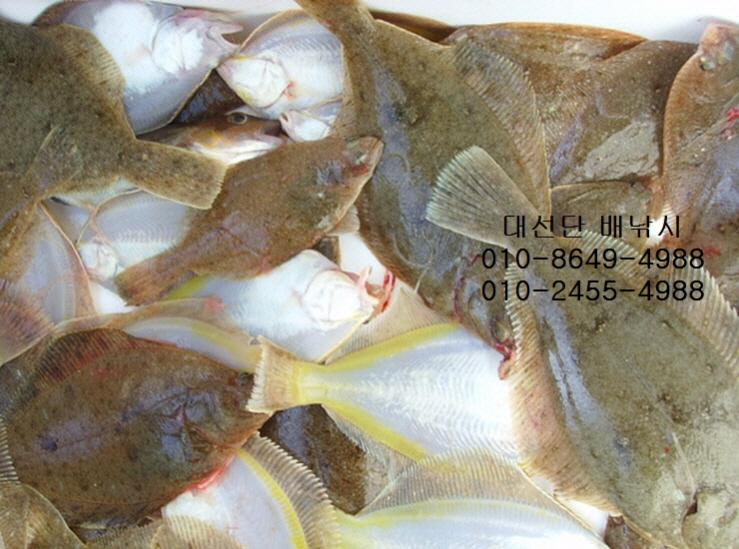 경인낚시 이미지