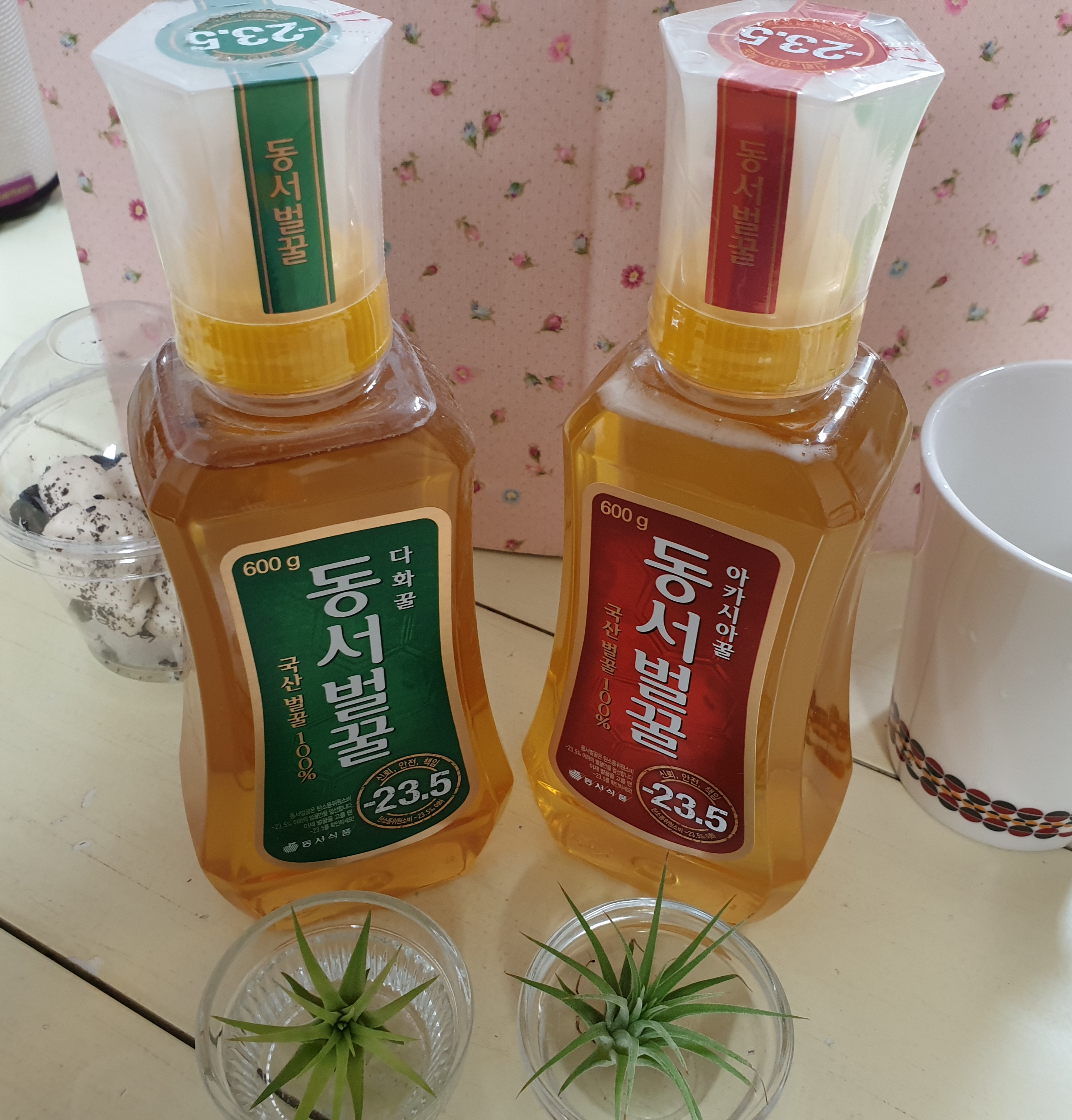동서생활건강 이미지