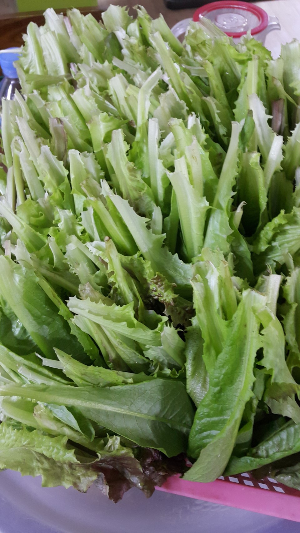 세바유통 이미지