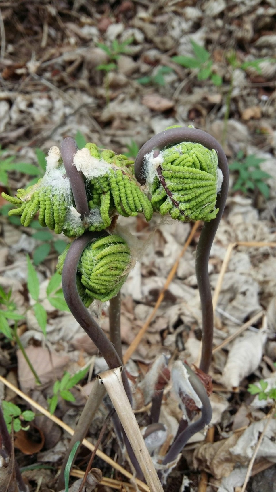 20190419_102830.jpg