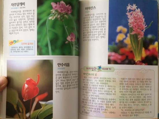 KakaoTalk_20190611_135222488.jpg