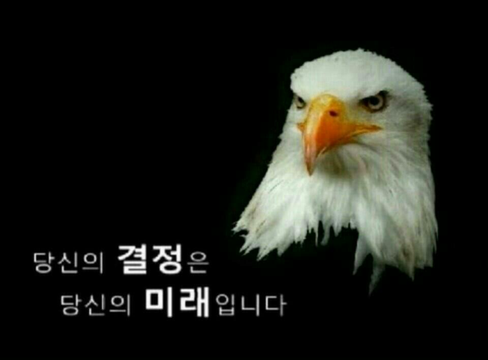 온국민폰 이미지
