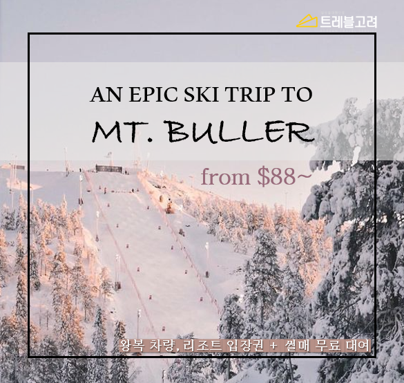 MT_BULLER.PNG