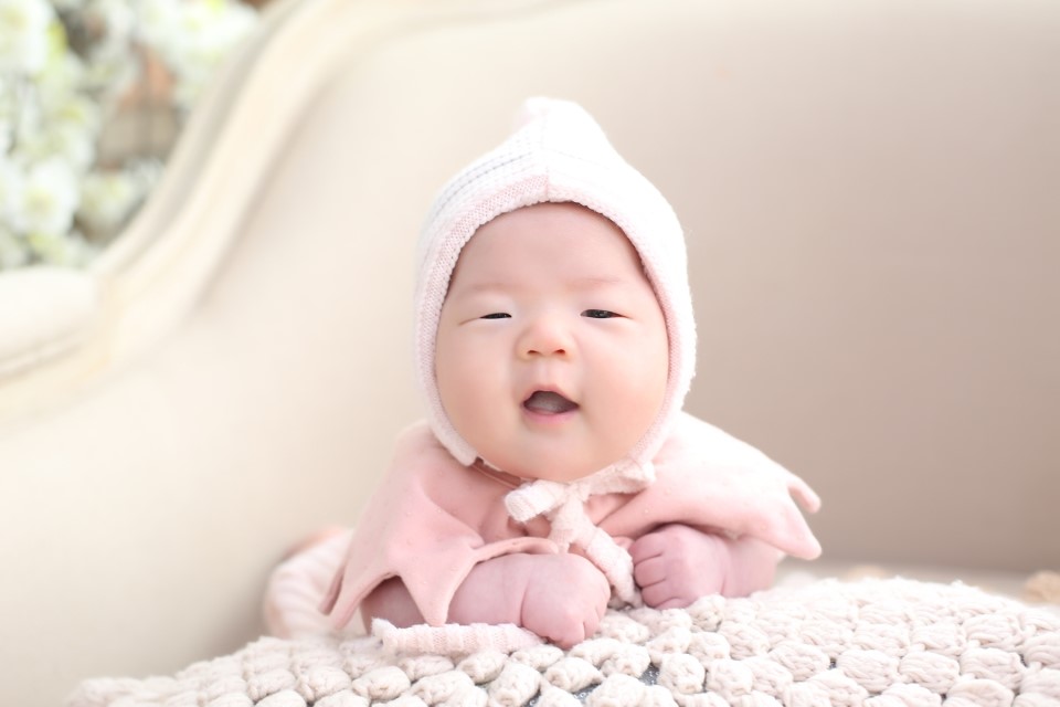채원플라워 이미지