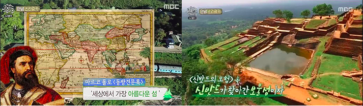 [한국갭이어] 인도양의 보석 스리랑카, 아기 바다거북이 돌보기 봉사활동