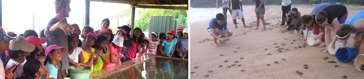 [한국갭이어] 인도양의 보석 스리랑카, 아기 바다거북이 돌보기 봉사활동