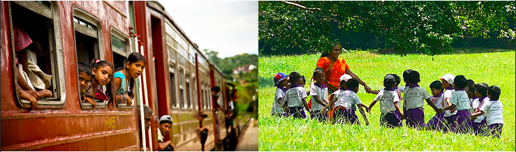 [한국갭이어] 인도양의 보석 스리랑카, 아기 바다거북이 돌보기 봉사활동