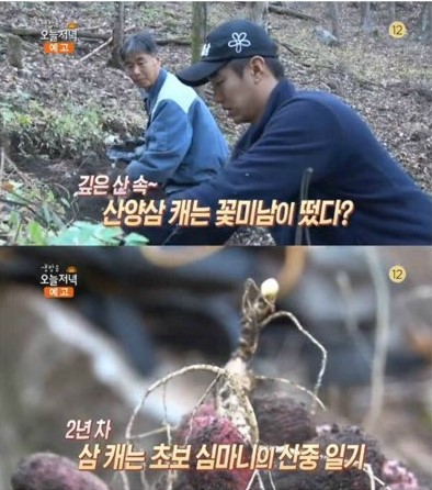 한국농약씨앗 이미지