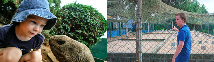 [한국갭이어] 인도양의 보석 스리랑카, 아기 바다거북이 돌보기 봉사활동